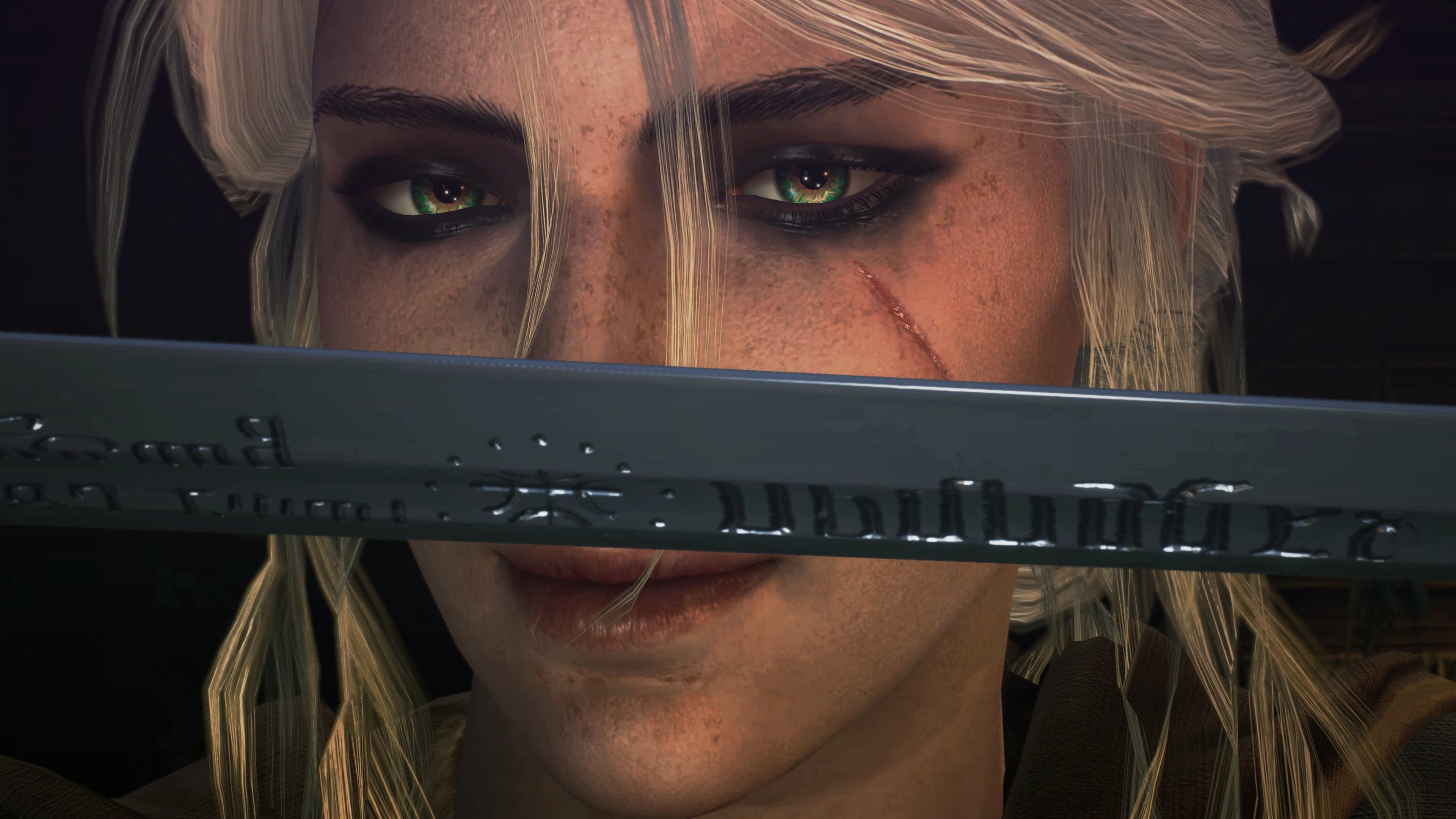 意大利马术协会与科技公司合作，开发虚拟现实训练平台，提升骑手技能。