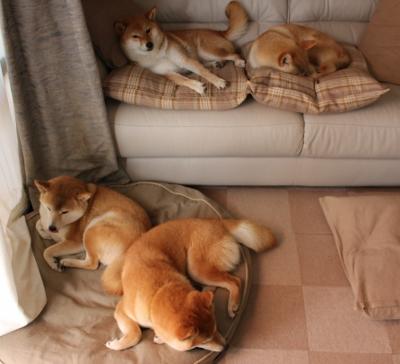 开云体育app网页版安全-2016年季后赛第七场：库里的“远距离绝杀”点燃全场！，16年总决赛第七场库里数据