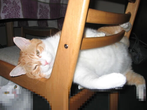 开云体育网页版入口-_大师杯迎来年度终极对决，冠军悬念持续升温_，大师杯2020