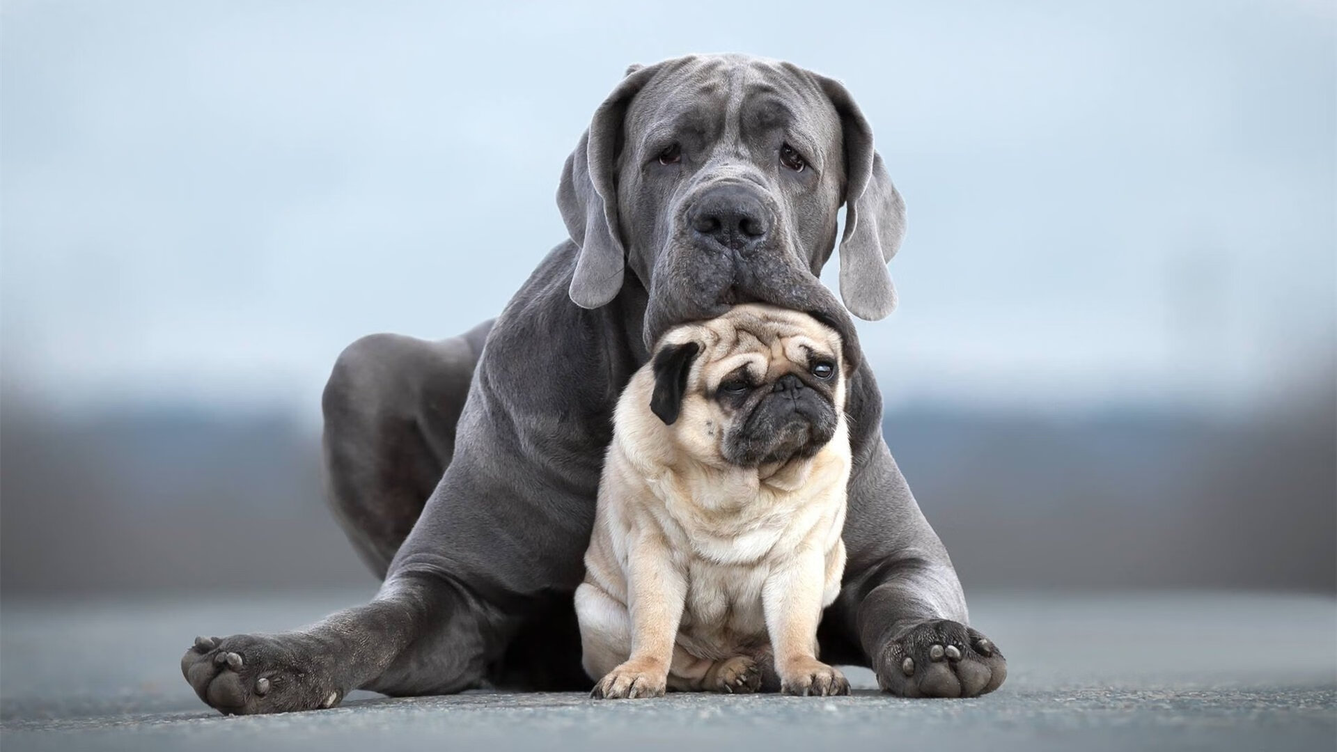 开云体育登入-全国青少年“梦想跑”公益篮球马拉松在广州完美举行，马拉松公益活动
