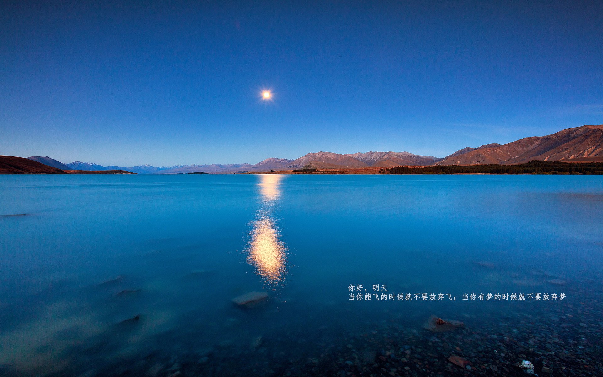 开云官方-拜仁锋线新星逆天表现，带领球队持续发力，拜仁锋线新星逆天表现,带领球队持续发力